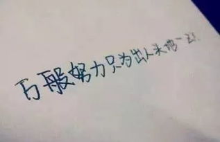 默默努力，为未来的自己铺路