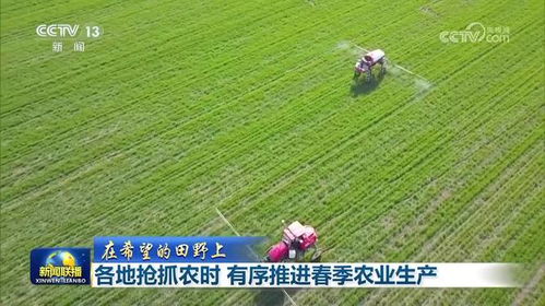 抢抓农时，我在田间见证春耕的忙碌与希望