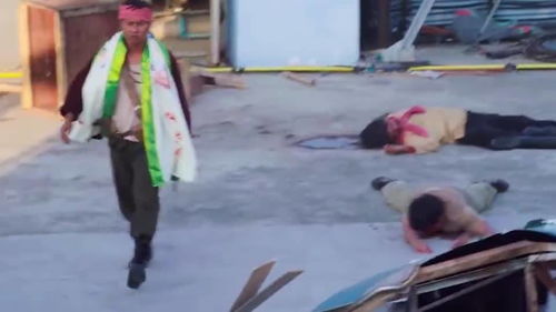 母亲就拍瑶一瑶小肉包被绊倒致歉：一次意外引发的深思