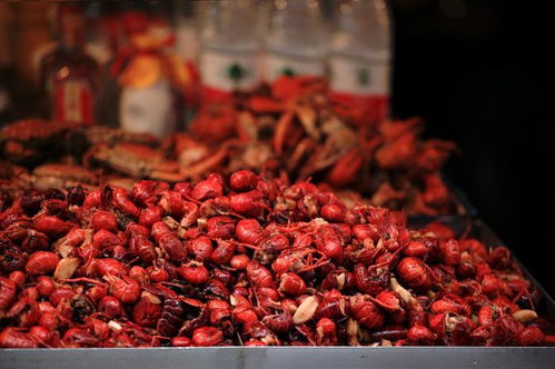 情人节送藕：奇变“藕”不变的浪漫密码