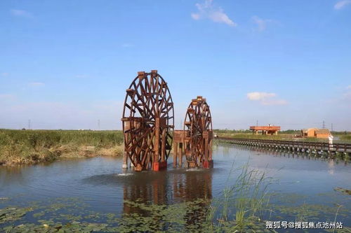 警惕“局中局”骗局：如何避免成为下一个受害者