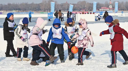 被办了亚冬会的哈尔滨整泪目了：中国健儿的热血与感动