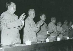 从书海中汲取智慧：读《毛泽东阅读史》的感悟