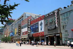 北京印象｜（一百三十三）：在城市中寻找精神原乡