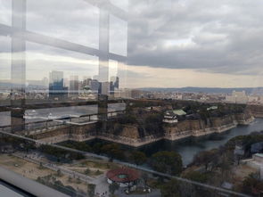 第3天：相识大阪——一场与古都的浪漫邂逅