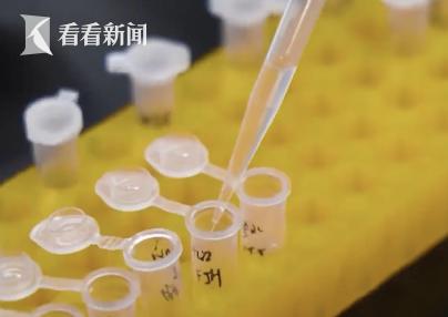 空乘尿检阳性背后：麻辣烫竟成“罪魁祸首”？