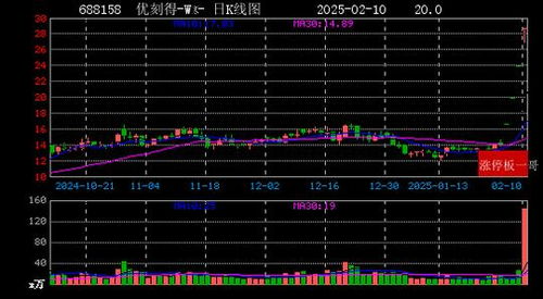 2025投资新思路：极简基金定投，让财富稳步增长