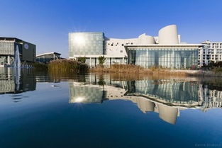 上科大Nature子刊发文，解决领域内长期争论！