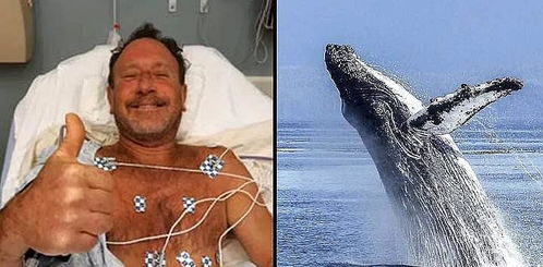 男子划船时被座头鲸吞下后吐出：一场惊心动魄的生死历险