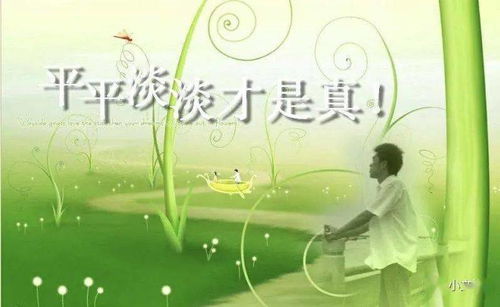 平平淡淡才是真：平凡生活中的深刻体悟