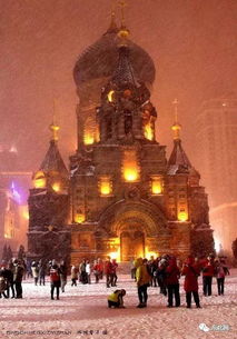 谢谢你哈尔滨：一座城市的热情与温暖