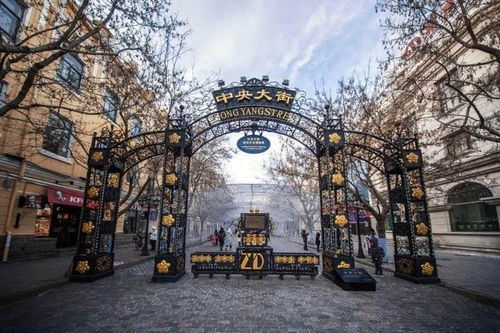 哈尔滨欢迎您：从热搜榜首到冰雪盛会的闪耀之城