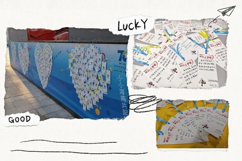 喜提豆包一只：生活中的小确幸