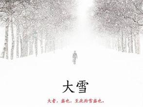 大雪时节的诗意与幻象：一场心灵的冬日之旅