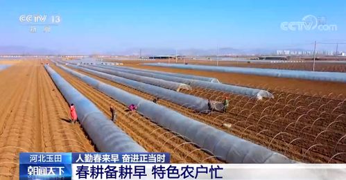 春耕时节，他见证了一幅生机勃勃的田野画卷