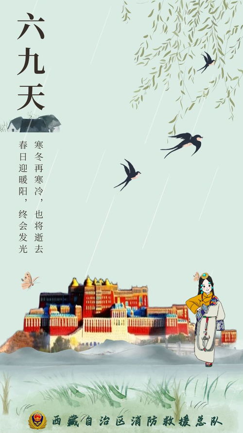 六九天寒意胜三九：一场关于冬天的深刻体验