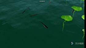 80后的春天在哪里：一场关于青春与梦想的探寻