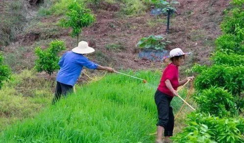 集采药真的药效不佳？江苏省人民医院权威回应来了