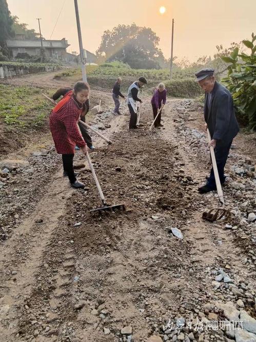 佛山花两百万修路两百米，竣工1月现裂缝：业主方回应验收合格