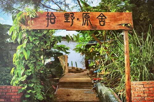 拾野：在简书上发现的温暖与共鸣