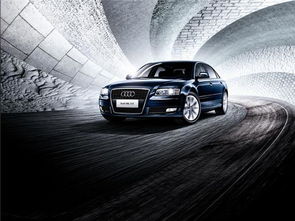 律动光影 AUDI行于心动间：一场与奥迪的光影邂逅