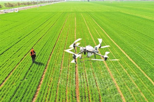 希望田野奏响春耕春管“交响曲”