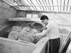 命案嫌犯尸体在废弃瓷窑内被发现：真相背后的层层迷雾