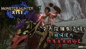 暮色旅者：铁石之战第五章——命运的抉择