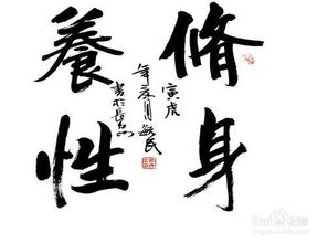 修身养性：在喧嚣中寻找内心的宁静