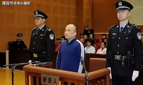 汪峰拟任新职背后：从湄公河惨案到跨境犯罪打击的深度思考