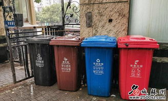 情人节上海垃圾桶点位攻略地图出圈：一场浪漫与惊喜的邂逅