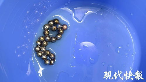 初中生因好奇将14颗磁力珠塞入尿道，背后的故事令人深思