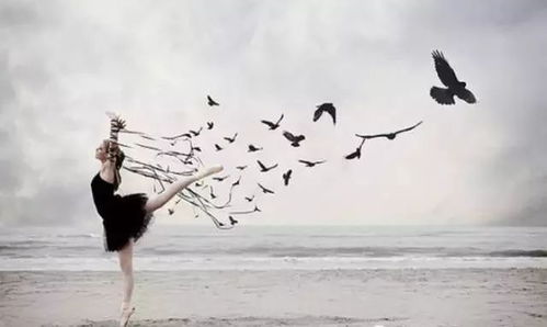 终点 || 如果生命没有终点