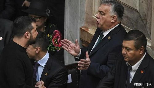 欧盟领导人与泽连斯基会面：俄乌冲突新转机？