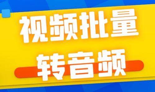 视频剪辑革命：一键批量转换，横屏竖屏随心所欲