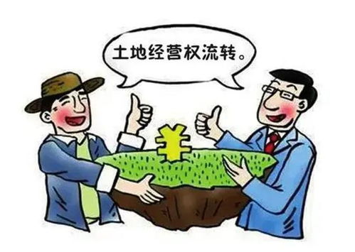 被亲戚算计，又被村民排斥：一个年轻人的乡村困境