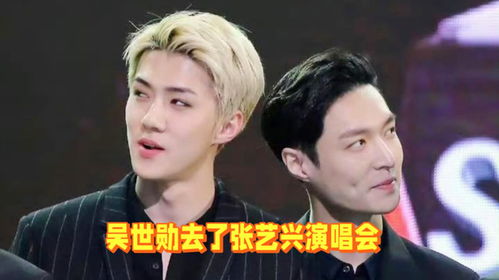 张艺兴吴世勋同框朴灿烈演唱会：一场友情的见证