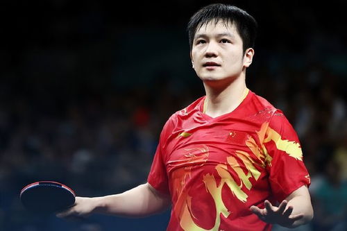 樊振东陈梦：敢于突破常规的选择