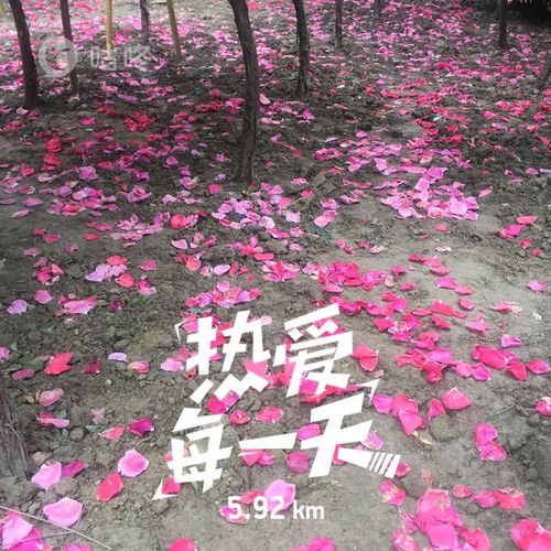 飞哥的外滩跑步日记：一场与城市的深度对话