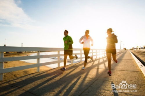 从零开始的晨跑之旅：一次改变生活的尝试