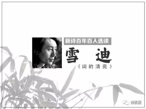 新诗《最后的雪花》：他与简书平台上的诗意邂逅