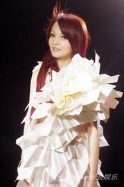 张韶涵范玮琪同场演出：一场音乐的盛宴与回忆的碰撞