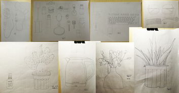 多哥的绘画课总结：从零基础到艺术表达的心路历程