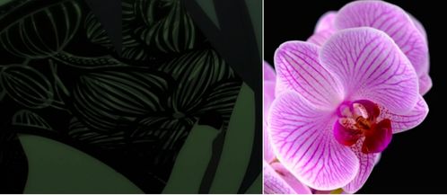 《Ave Mujica》第七集：长崎素世的尬笑背后隐藏了什么秘密？