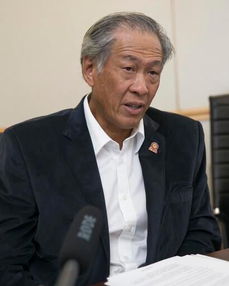 新加坡防长谈南海争端：背后的故事与真相