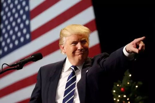 特朗普政府提议乌克兰转让50%稀土矿所有权的背后意图