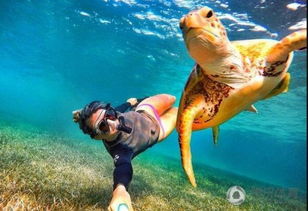 与鲨鱼共游的惊魂一刻：加拿大女子被咬断手的真实经历