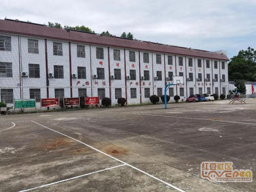 “有人要举牌吗？”——揭开未成年人网络软色情的隐秘角落