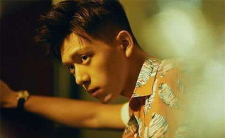 李现分享自己拍的赵丽颖：娱乐圈的温情瞬间