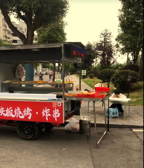 女子直播卖烧烤为儿子筹医药费：真实与质疑交织的故事